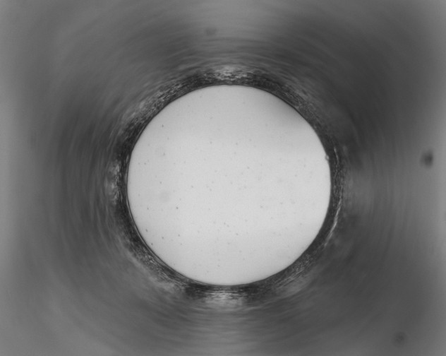 X0000116150319200912141204