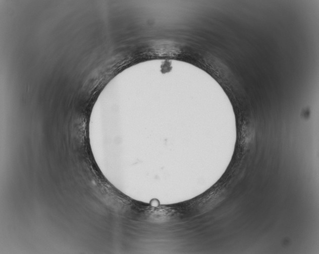 X0000116150321200912141204