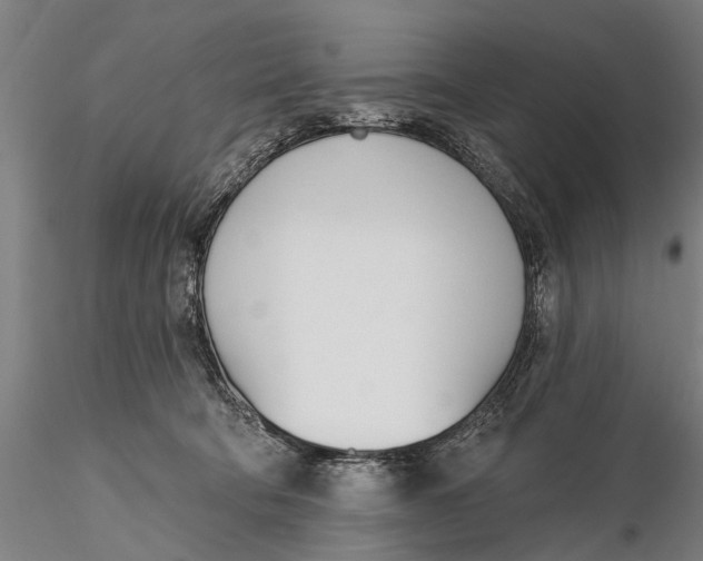 X0000116150322200912141204