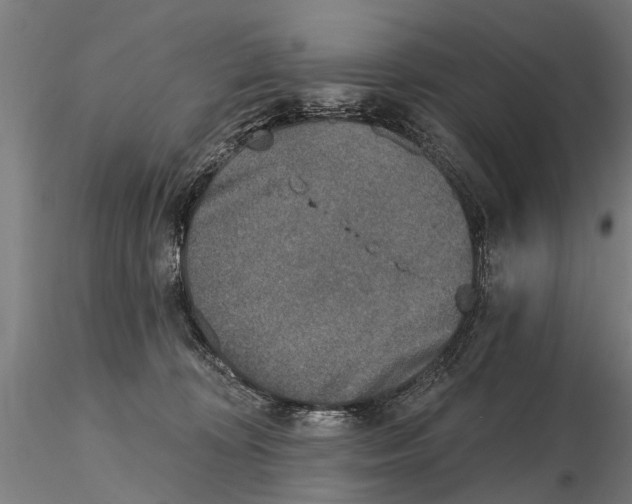 X0000116150324200912141204