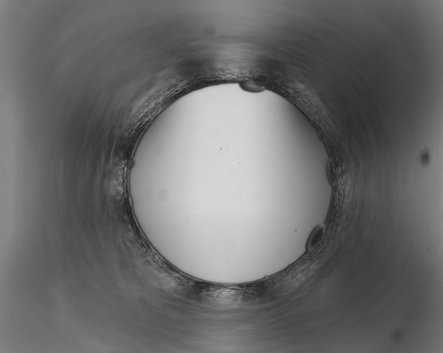 X0000116150325200912141204