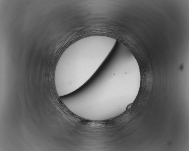 X0000116150327200912141203