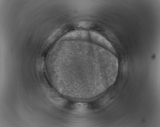 X0000116150328200912141203