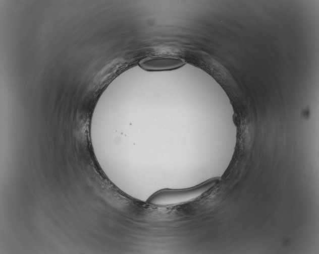 X0000116150329200912141203