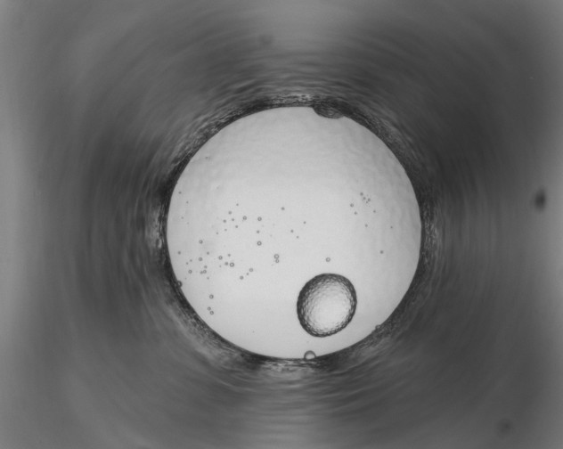 X0000116150331200912141203