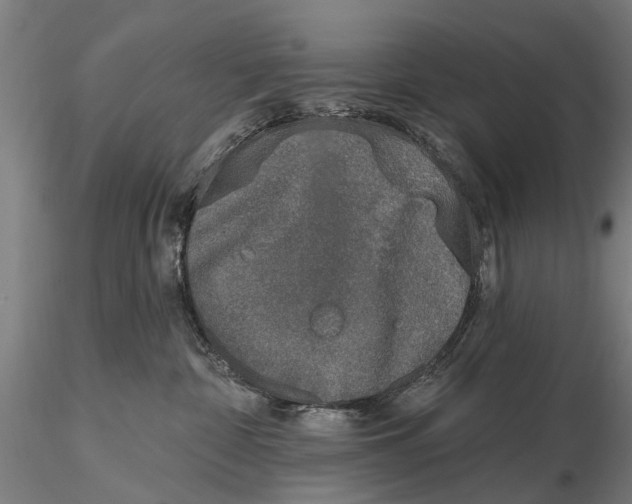 X0000116150332200912141203