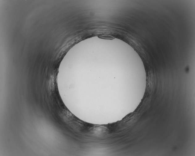 X0000116150333200912141203