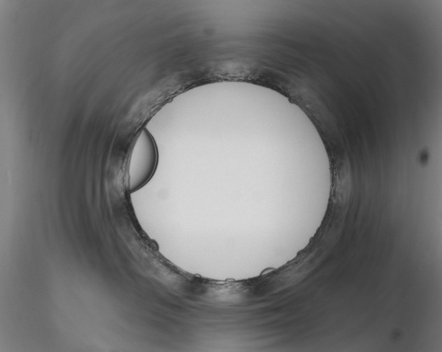 X0000116150334200912141203