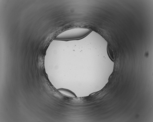 X0000116150335200912141203