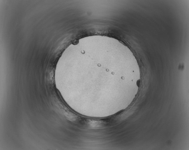 X0000116150336200912141203