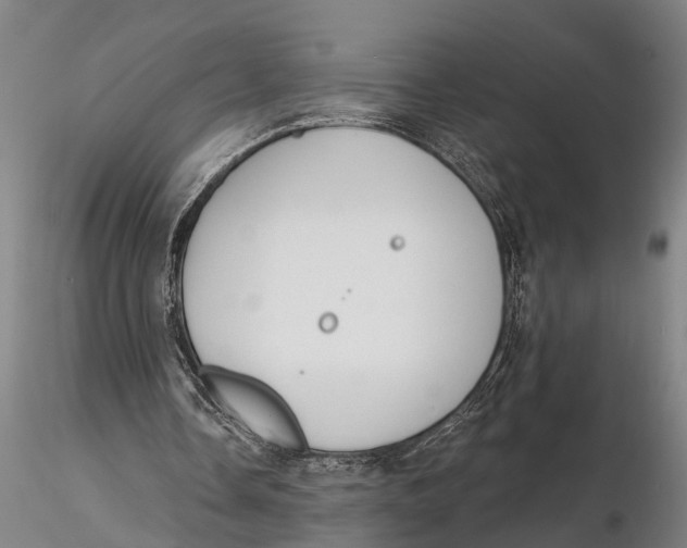 X0000116150338200912141203