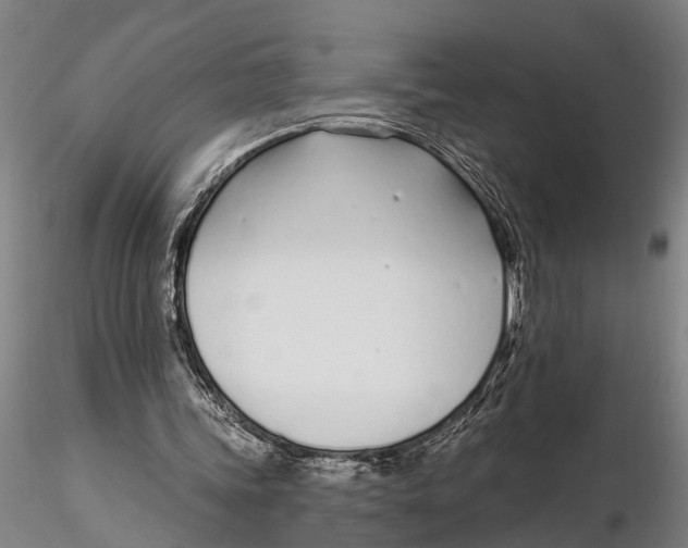 X0000116150339200912141203