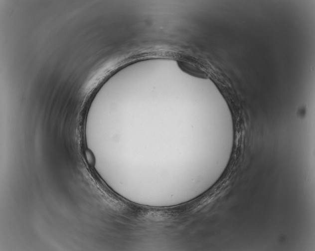 X0000116150341200912141203