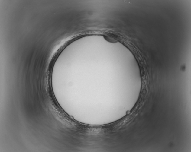 X0000116150342200912141203