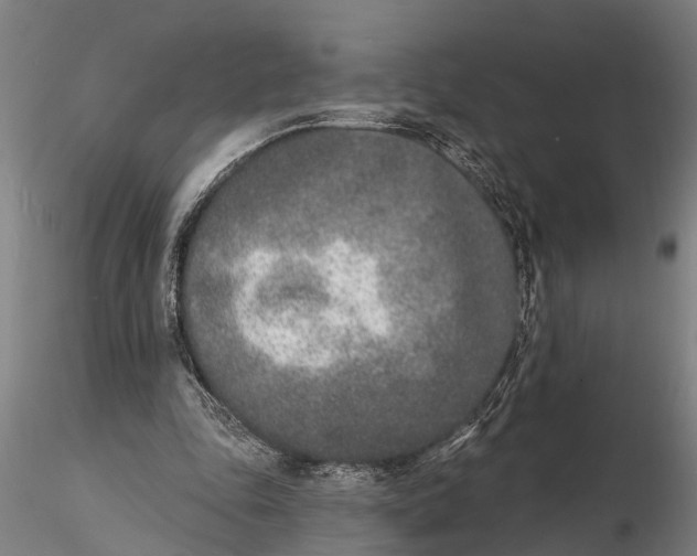 X0000116150343200912141203