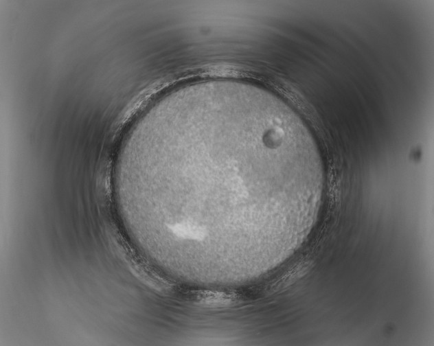 X0000116150347200912141203