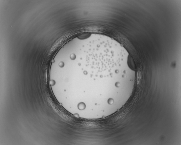 X0000116150349200912141203