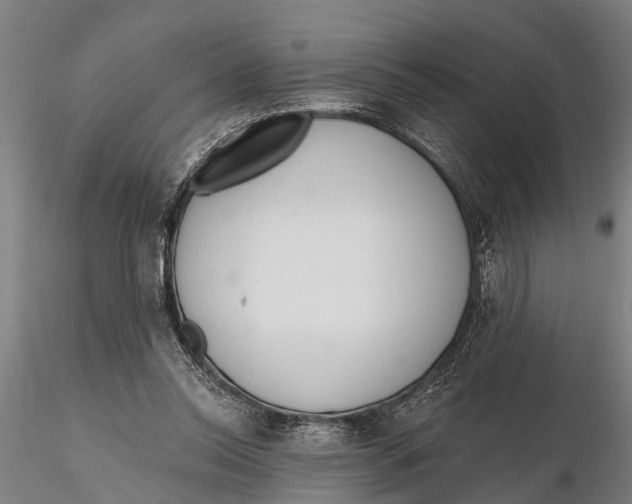 X0000116150350200912141203