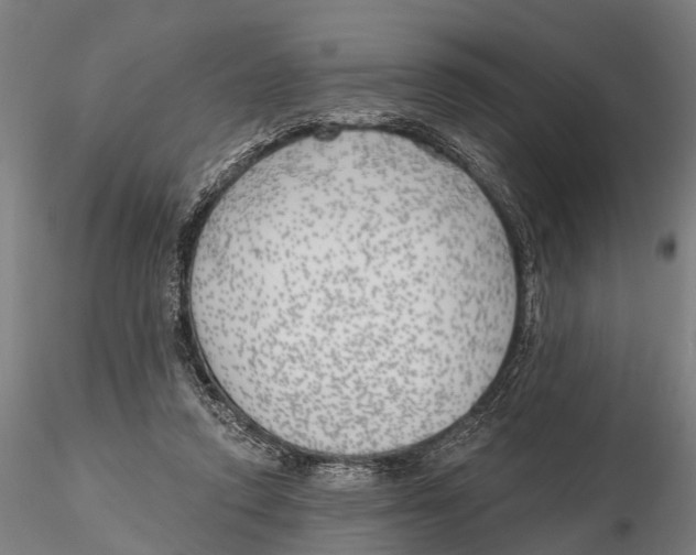 X0000116150354200912141203