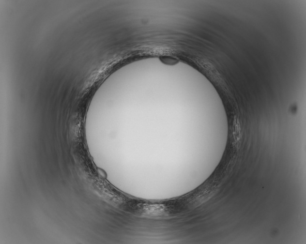 X0000116150355200912141203