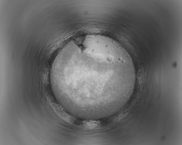 X0000116150359200912141203