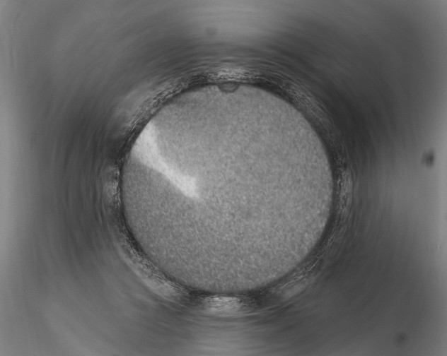 X0000116150361200912141203