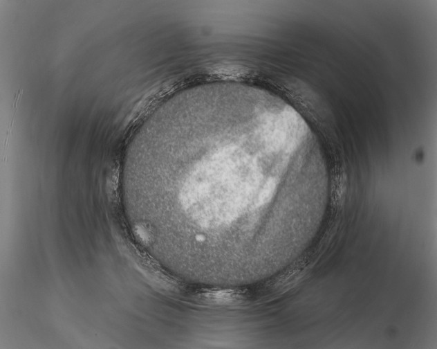 X0000116150365200912141203