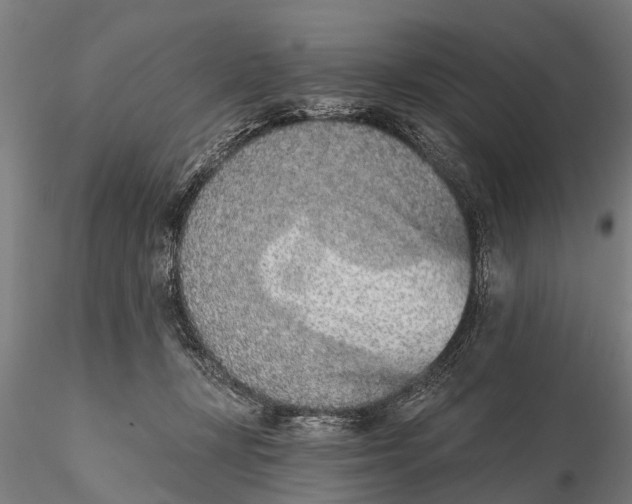 X0000116150367200912141203