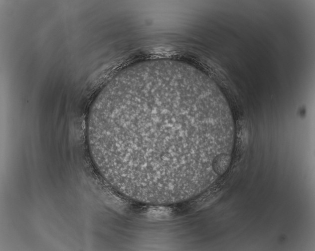 X0000116150369200912141203