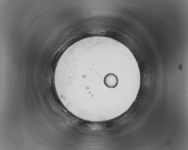 X0000116150370200912141203