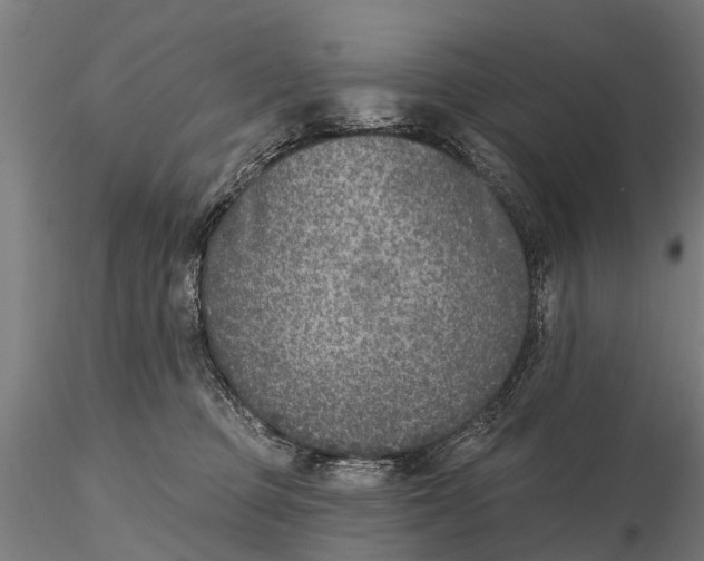 X0000116150373200912141203