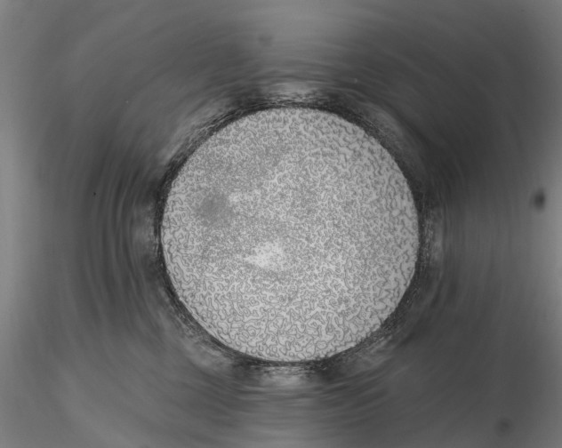 X0000116150377200912141203