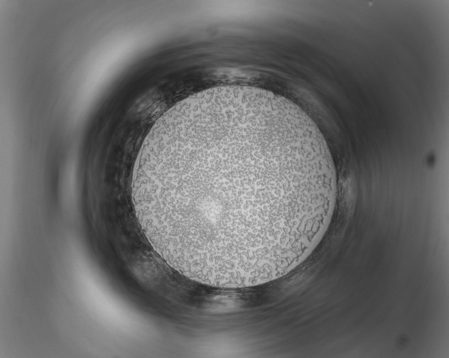 X0000116150381200912141203