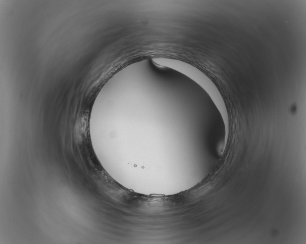 X0000116150382200912141203