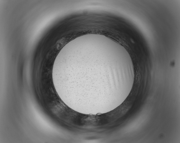 X0000116150383200912141203