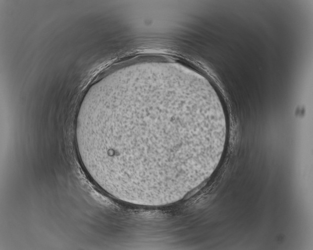 X0000116150385200912141203