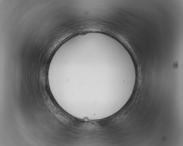 X0000116150386200912141202