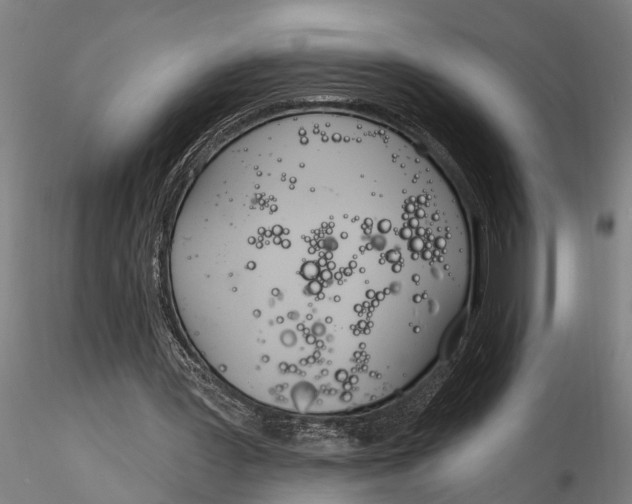 X0000116150387200912141202