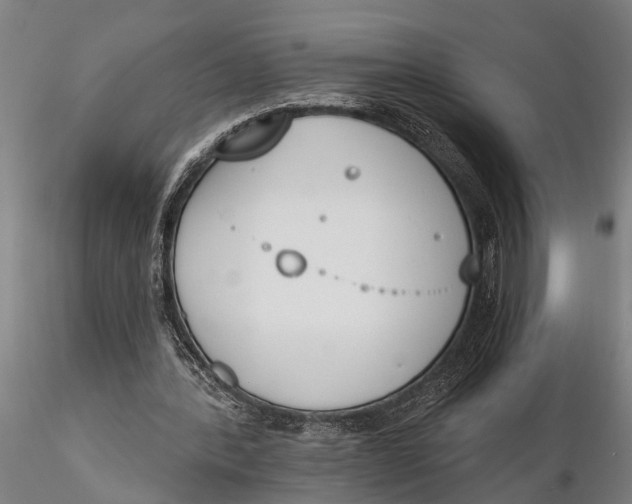 X0000116150388200912141202