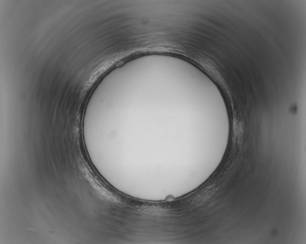 X0000116150389200912141202