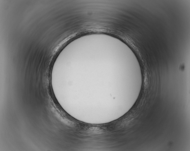 X0000116150390200912141202