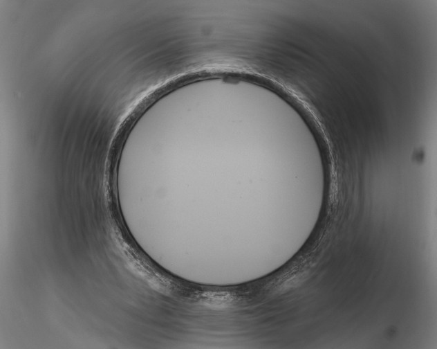 X0000116150391200912141202