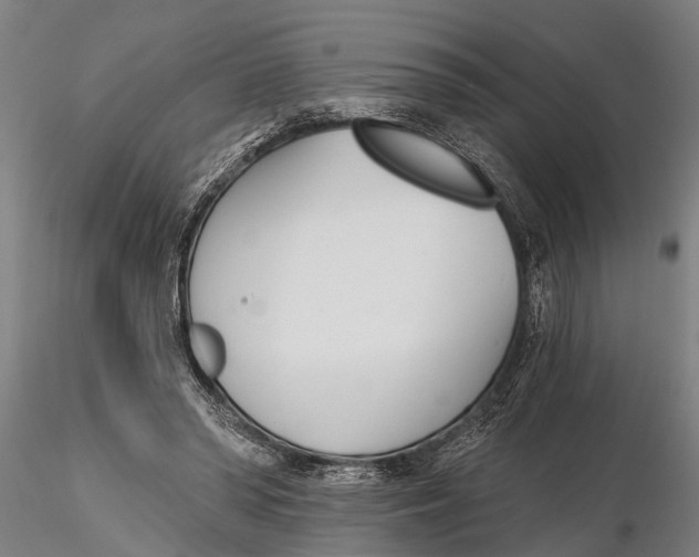 X0000116150398200912141202