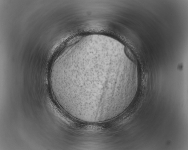 X0000116150399200912141202