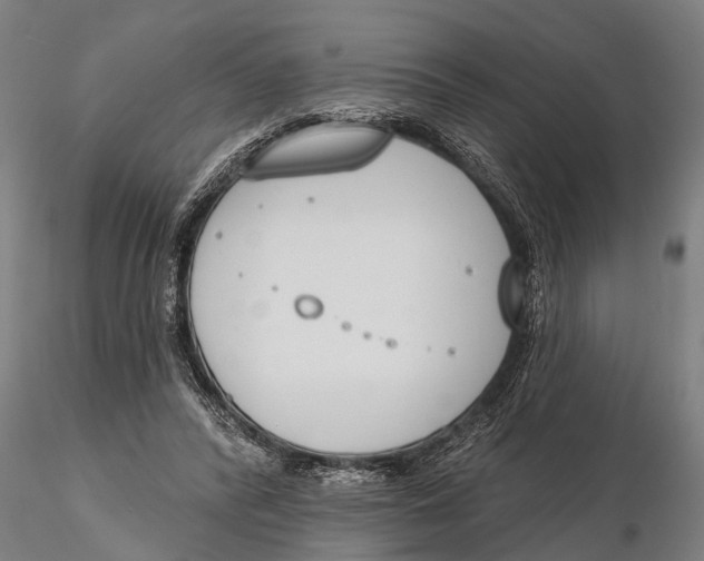 X0000116150400200912141202