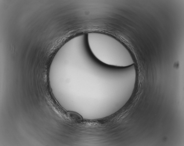 X0000116150401200912141202