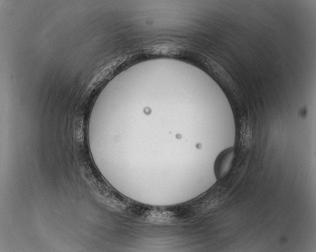 X0000116150403200912141202