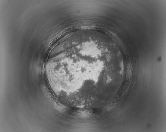 X0000116150405200912141202