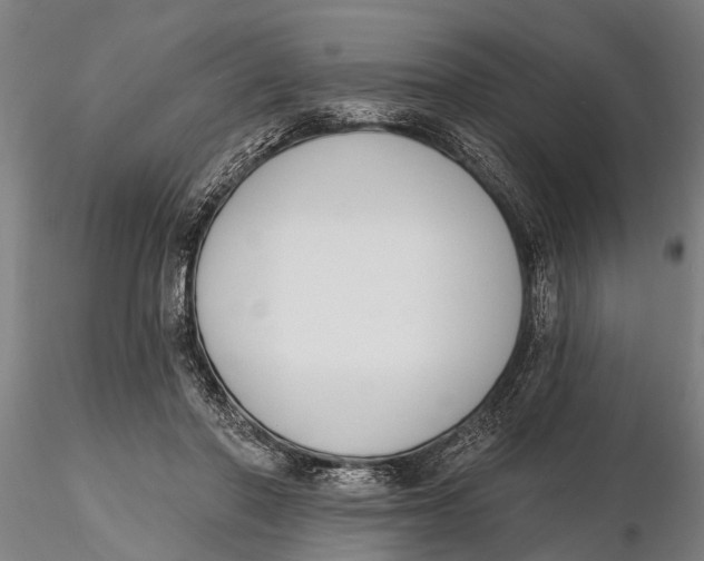 X0000116150406200912141202