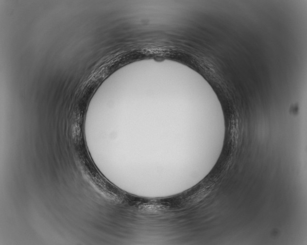 X0000116150408200912141202